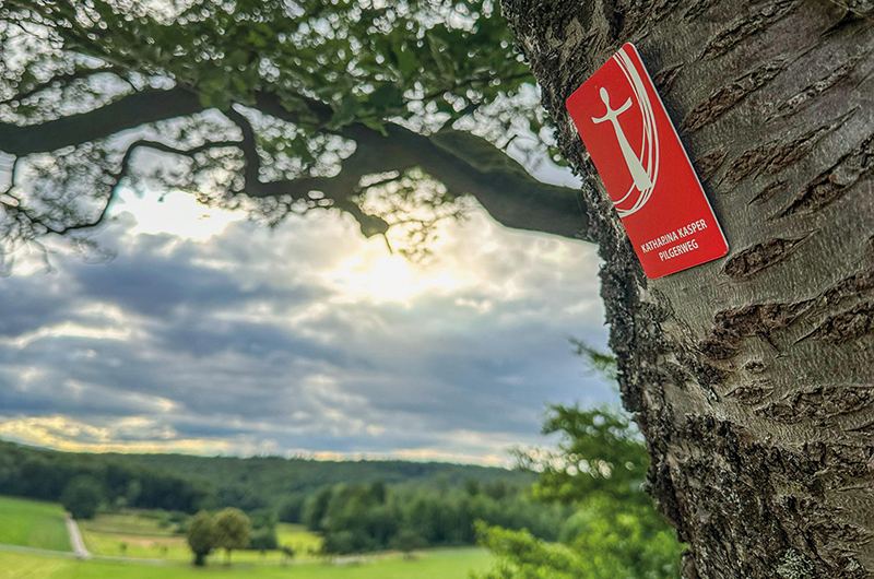 Pilgerwegzeichen an einem Baum, im Hintergrund Wald und Wiesen